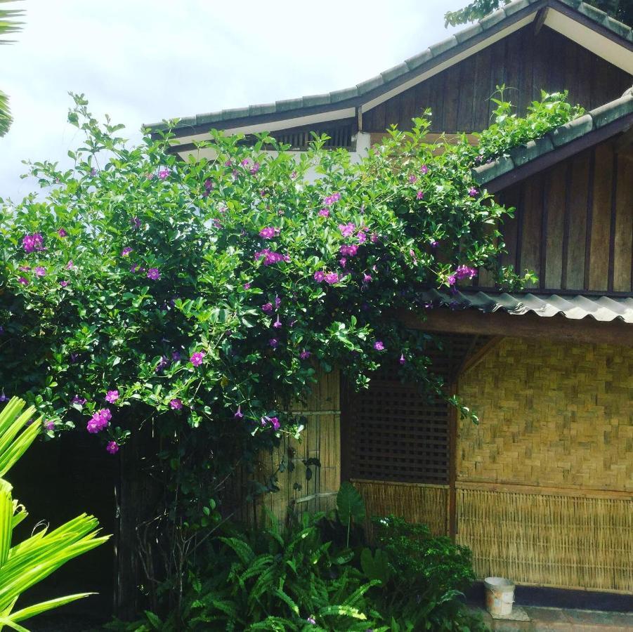 Phoxay Ngam Resort Vang Vieng Exteriör bild